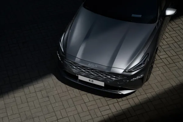 BingoBilly Casino App Android/iOS